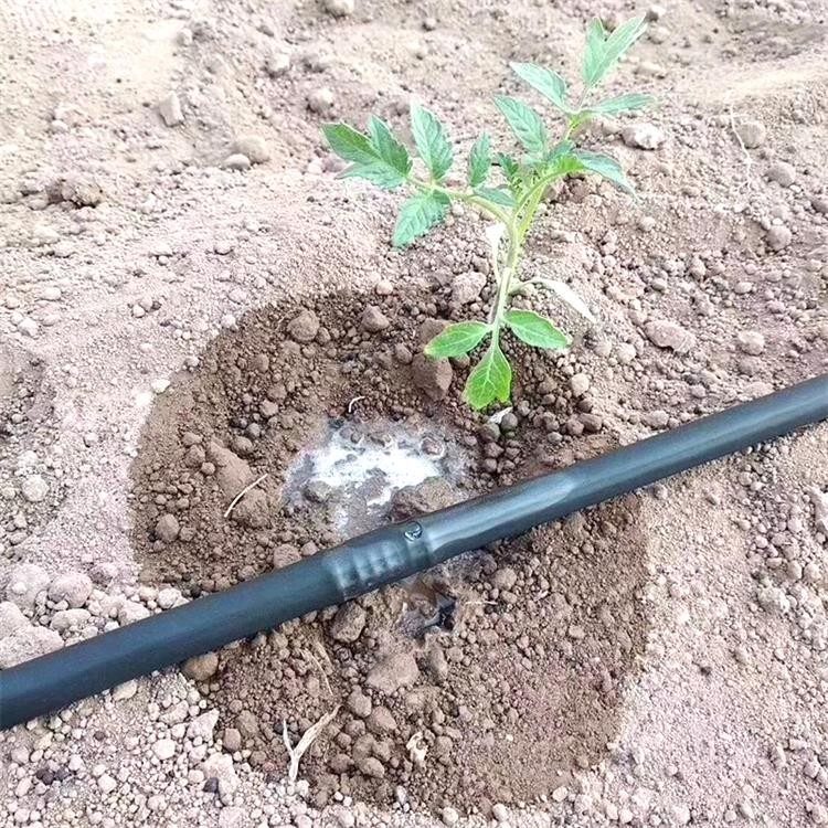 Growing plants